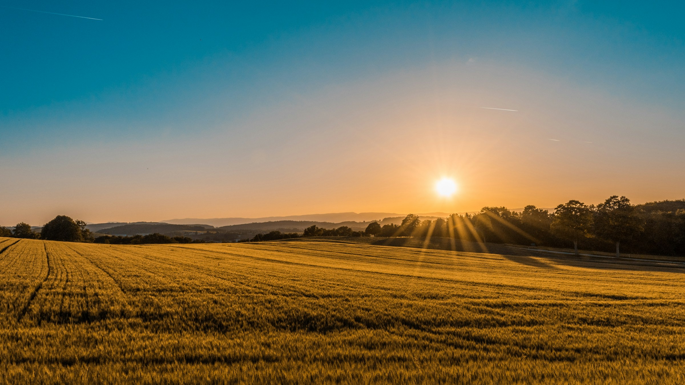 Golden farm field at sunset